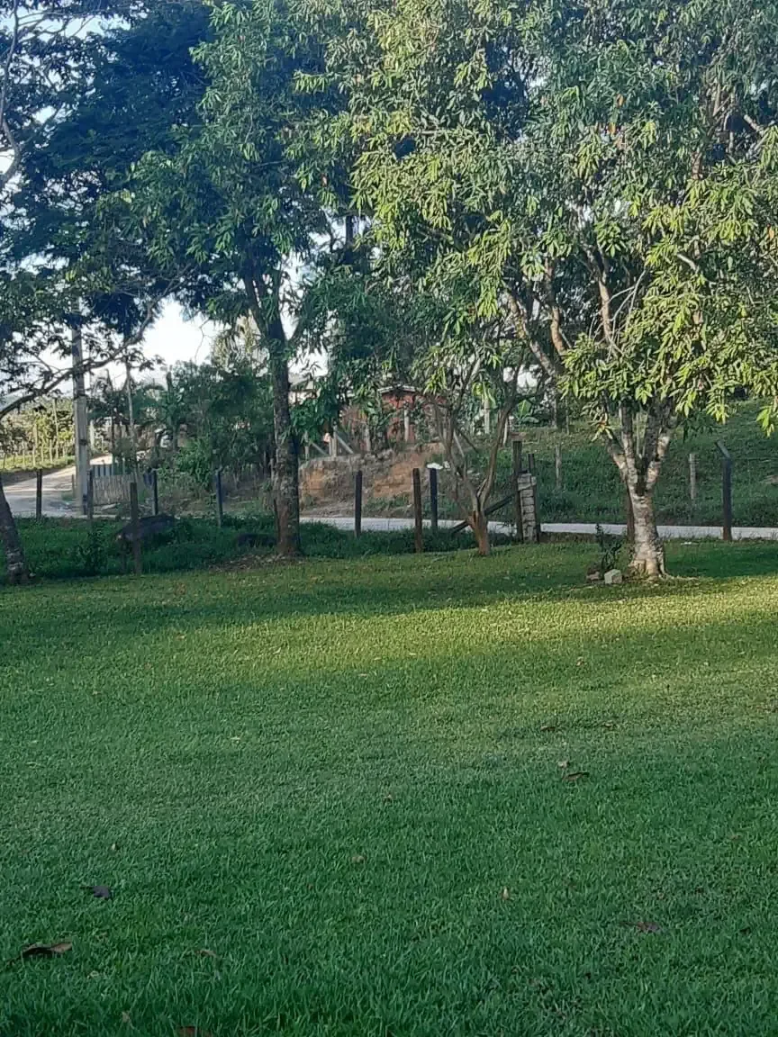 Foto 14 de Sítio com Lago de Peixes e Riacho no Bairro Caetés em Camboriú – 25.125m², Casa, Frutíferas e Lazer Completo